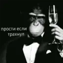 Стикер