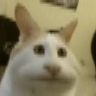Samolepka