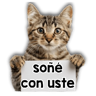 Stiker