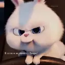 贴纸