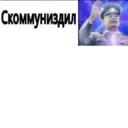 Samolepka