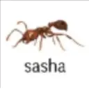 ملصق