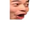 Stika