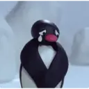 स्टिकर