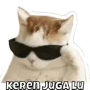 Pelekat