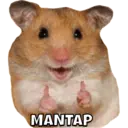 Pelekat