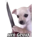 Pelekat