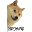 Pelekat
