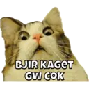 Ngjitës