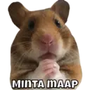 Ngjitës