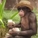 ਸਟਿਕਰ