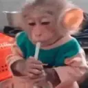 Կպչուն պիտակ
