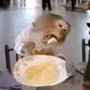 Կպչուն պիտակ