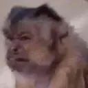 Կպչուն պիտակ
