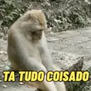 Stika
