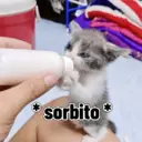 Figurinha