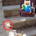 Figurinha