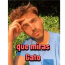 Figurinha