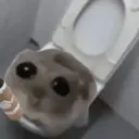 贴纸