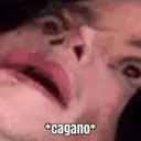 贴纸