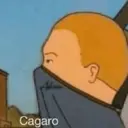 贴纸