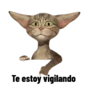Çıkartma