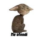 Çıkartma