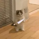 Стикер