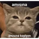 Çıkartma
