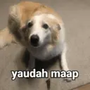 ਸਟਿਕਰ