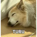 ਸਟਿਕਰ