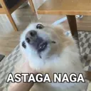 Çıkartma