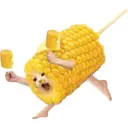 贴纸