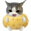 贴纸