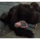 Կպչուն պիտակ