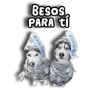 Stiker
