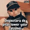 Figurinha