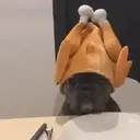 Pelekat