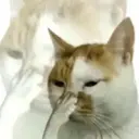 Çıkartma