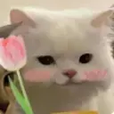 Çıkartma