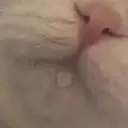 Çıkartma