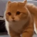 Çıkartma