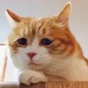 Çıkartma