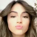 贴纸