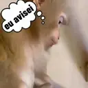 ملصق