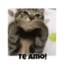 Figurinha