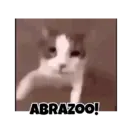 Figurinha