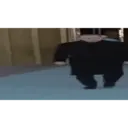 استیکر