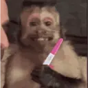 ملصق