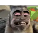 ملصق